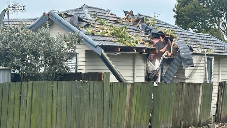 Ranui Tree Crash Leaves Auckland Council Assessing Storm-Damaged Home