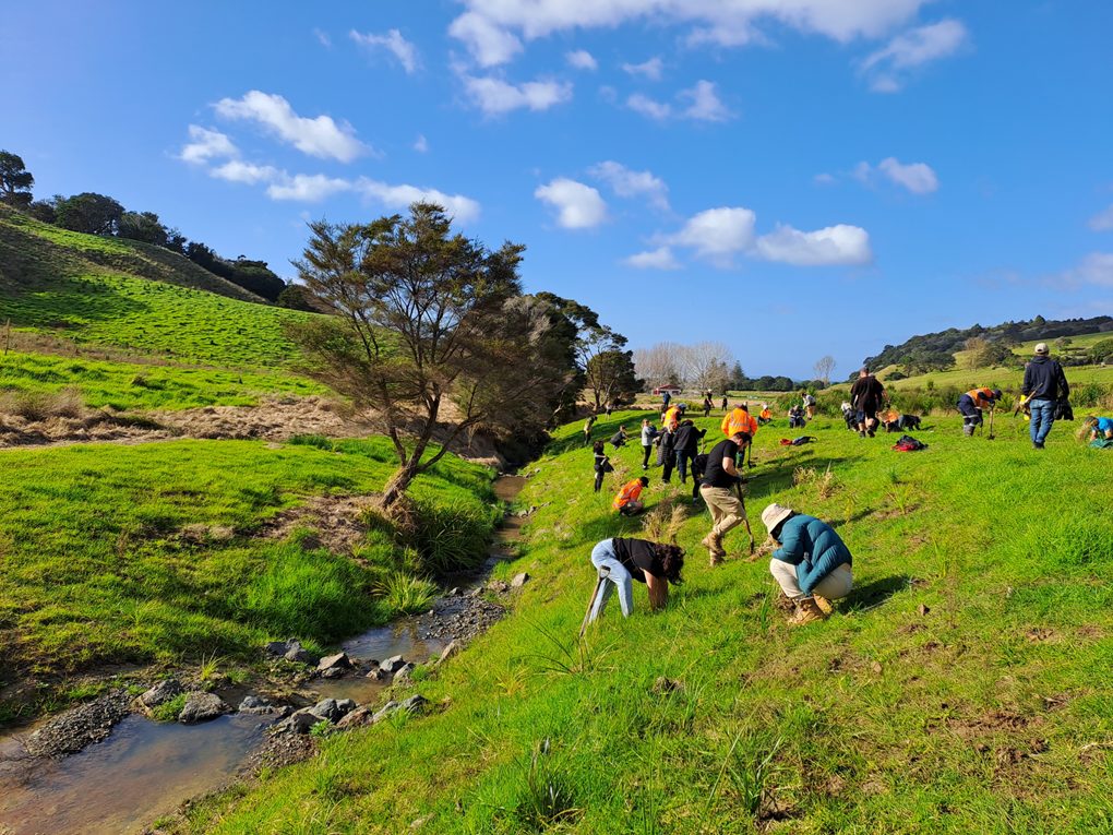 Richard Hills Says Mahurangi Stream Restoration Cut Fine Sediment 30 Percent